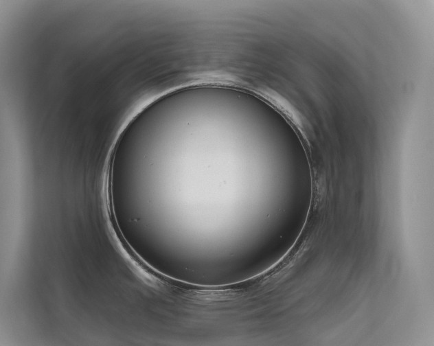 X0000111611391200907171215
