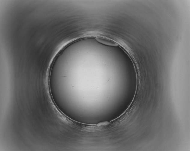 X0000111611392200907171215