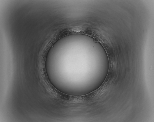 X0000111611393200907171214