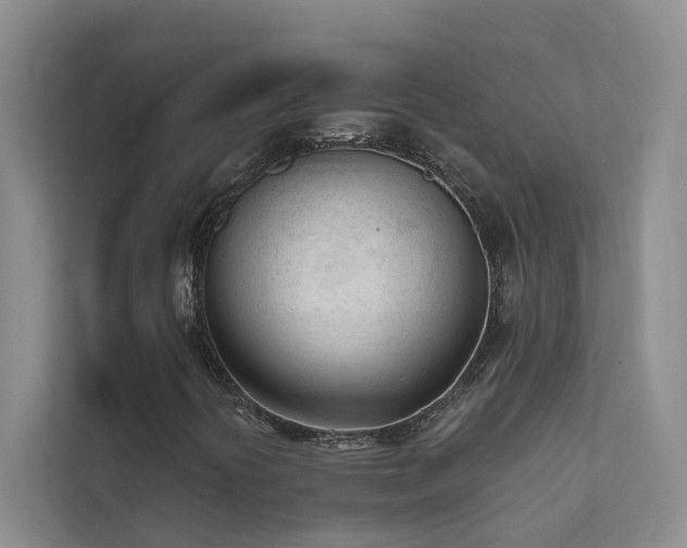 X0000111611394200907171214