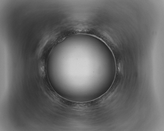 X0000111611396200907171214