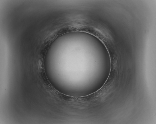 X0000111611397200907171214