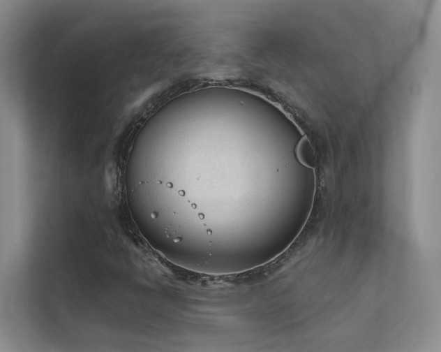X0000111611398200907171214