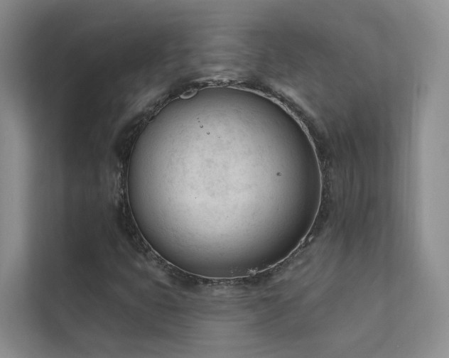 X0000111611399200907171214