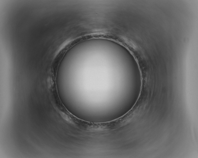 X0000111611400200907171214