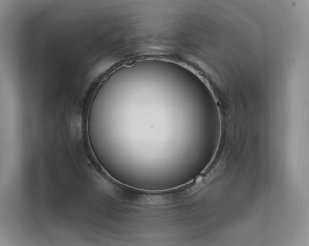 X0000111611402200907171215