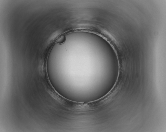 X0000111611403200907171215
