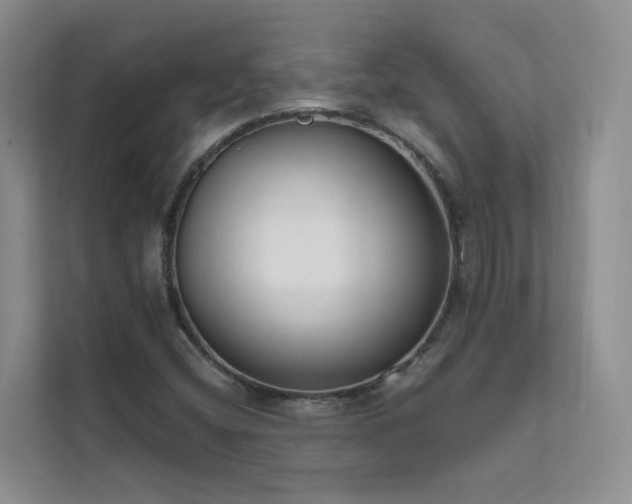 X0000111611404200907171215