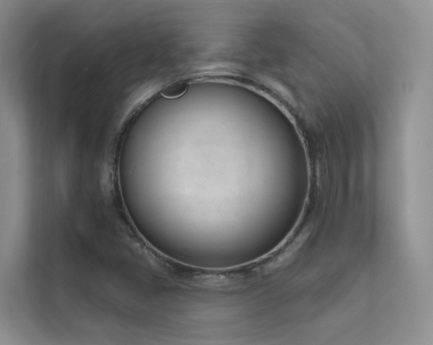 X0000111611405200907171215