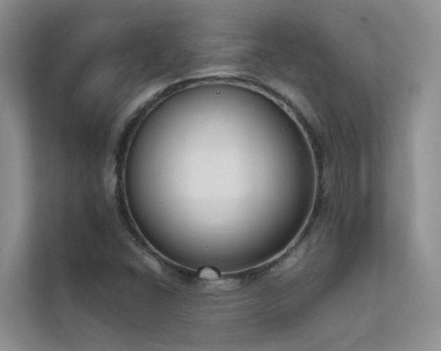 X0000111611406200907171215