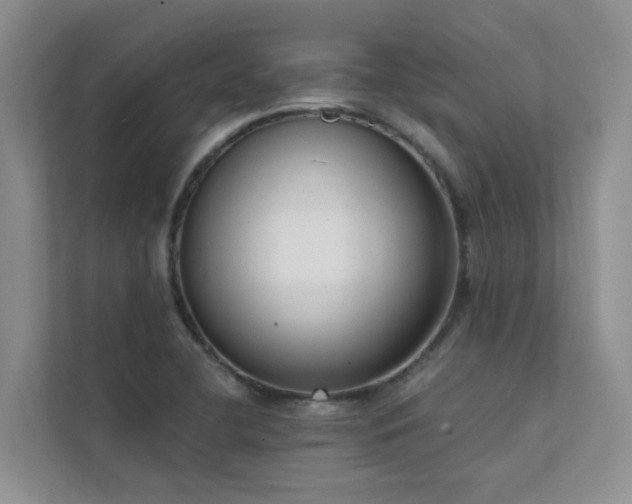 X0000111611412200907171215
