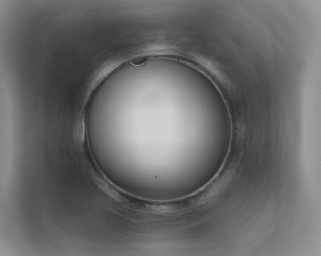 X0000111611413200907171215