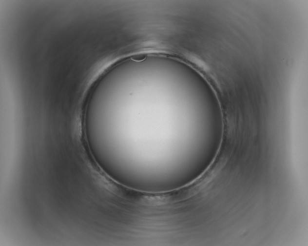 X0000111611415200907171215