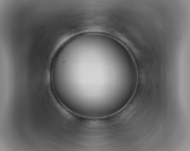 X0000111611416200907171215