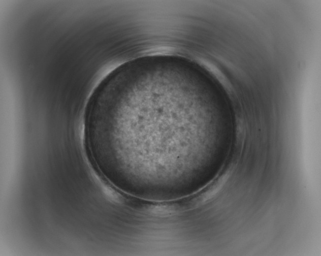 X0000111611418200907171215