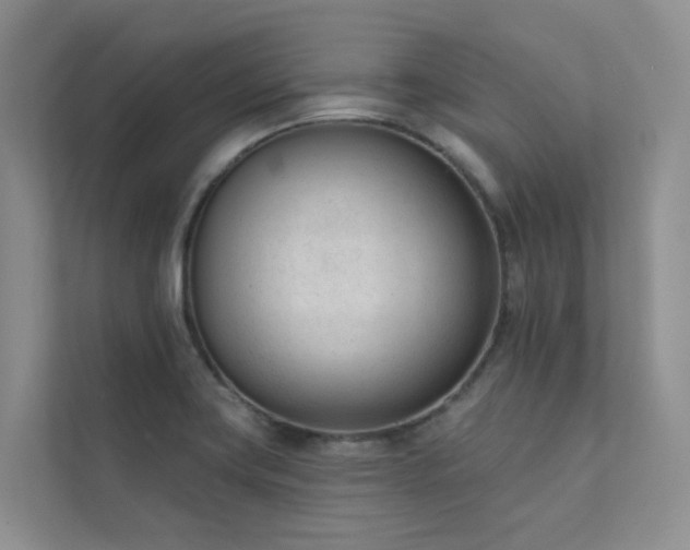 X0000111611419200907171215
