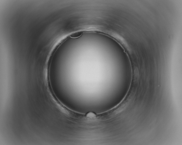 X0000111611424200907171215