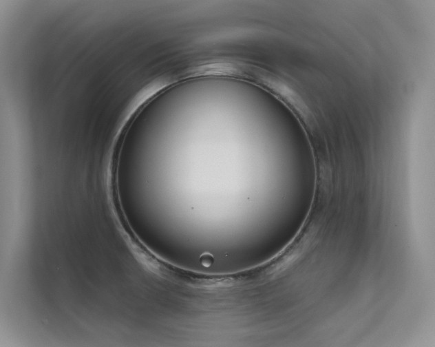 X0000111611426200907171215