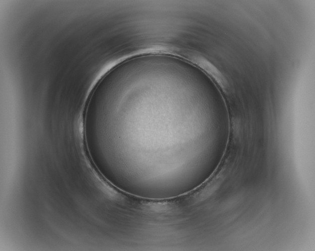 X0000111611428200907171215