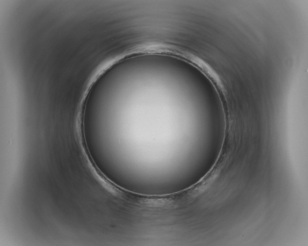X0000111611429200907171215