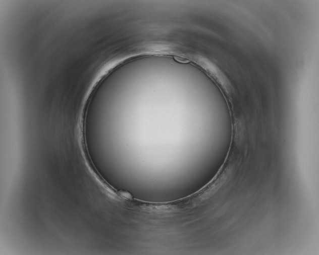 X0000111611432200907171215