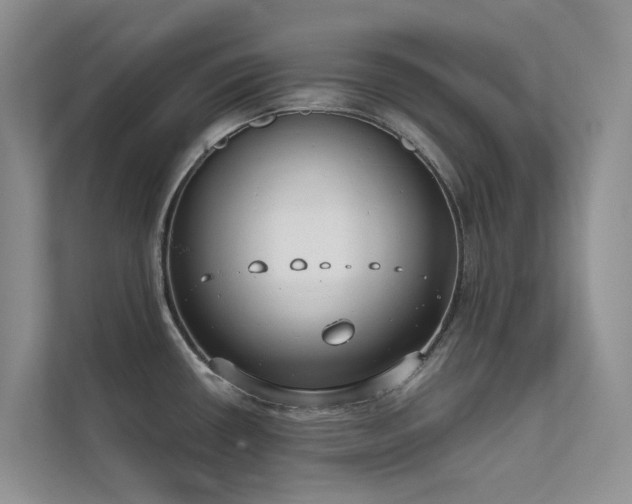 X0000111611434200907171215