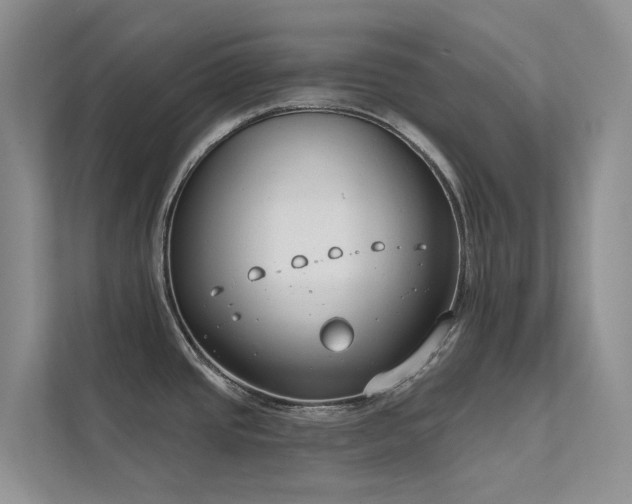 X0000111611437200907171215