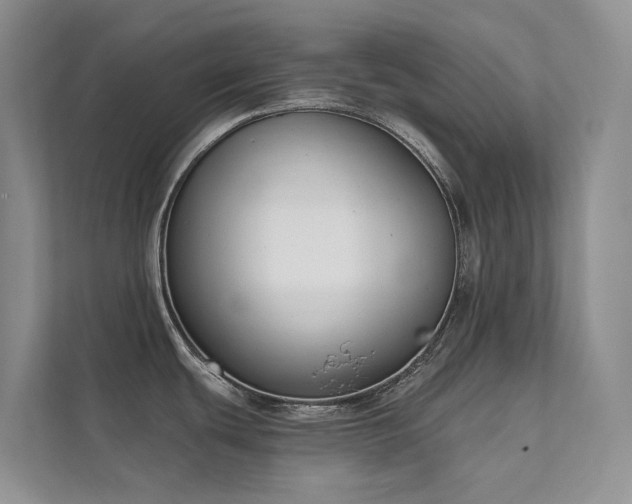 X0000111611439200907171215