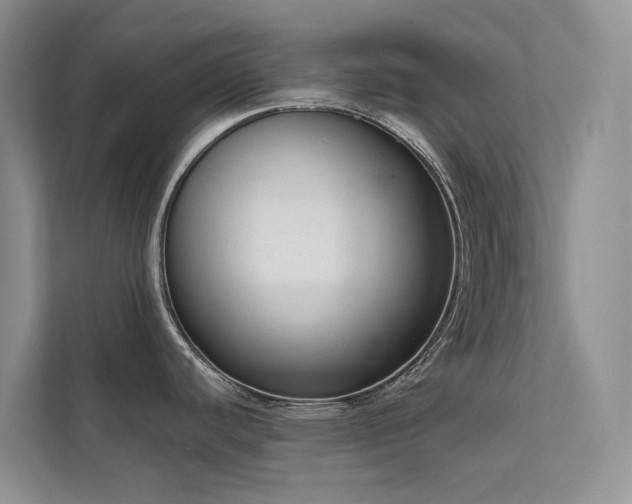X0000111611440200907171215