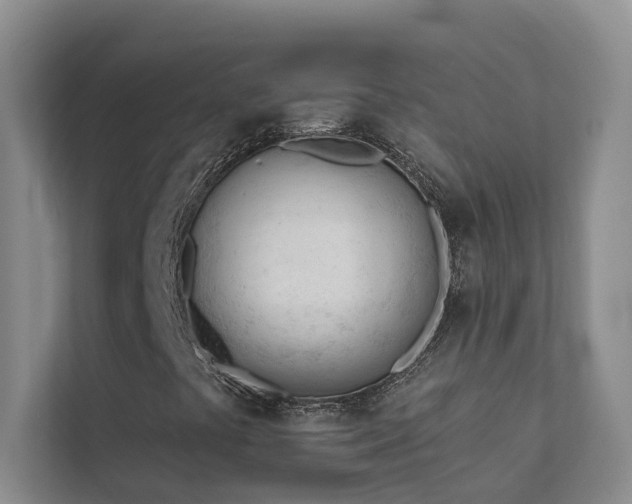 X0000111611441200907171214