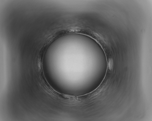 X0000111611444200907171214