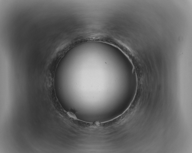 X0000111611447200907171214