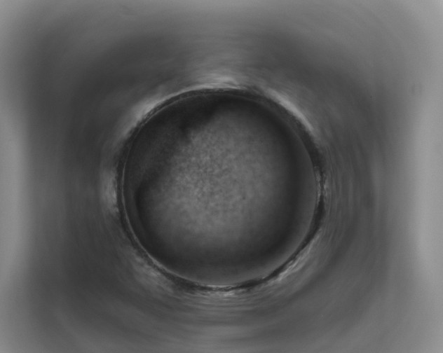 X0000111611455200907171214