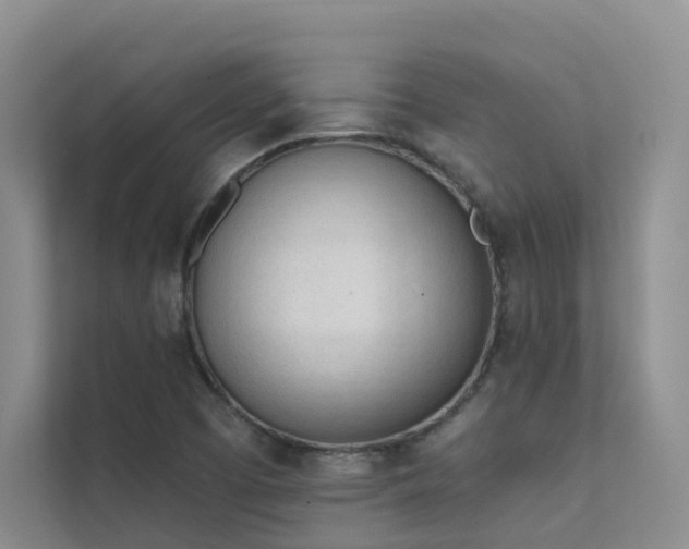 X0000111611457200907171214