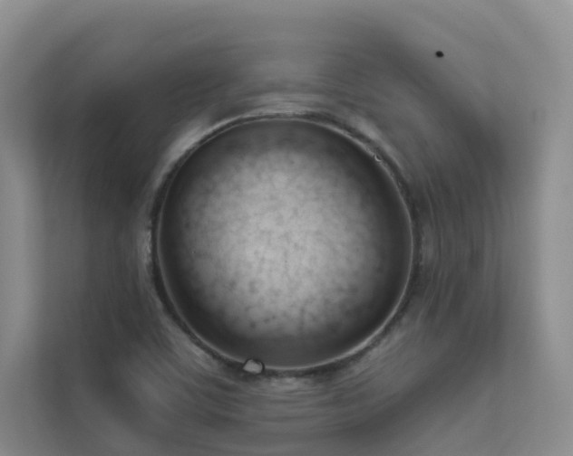 X0000111611459200907171214
