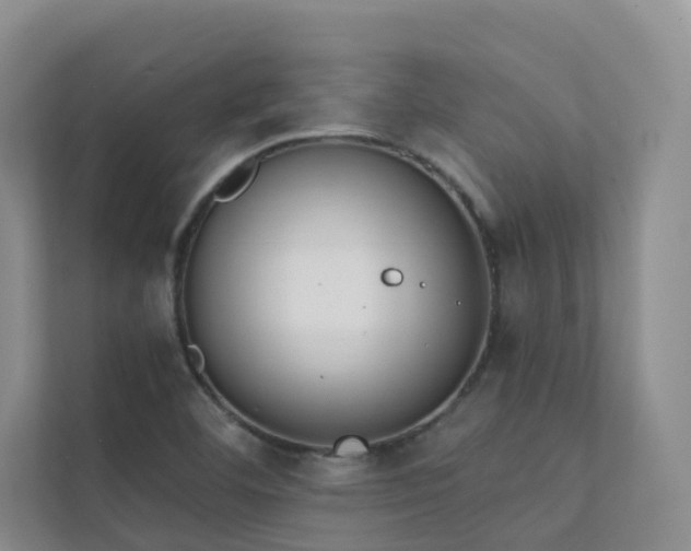 X0000111611460200907171214