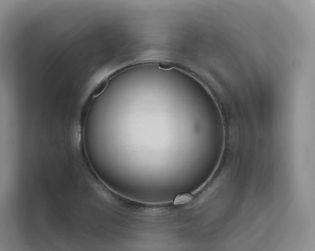 X0000111611461200907171214