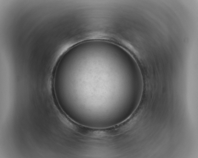 X0000111611463200907171214