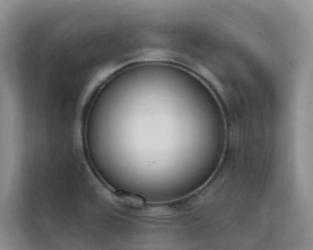 X0000111611464200907171214