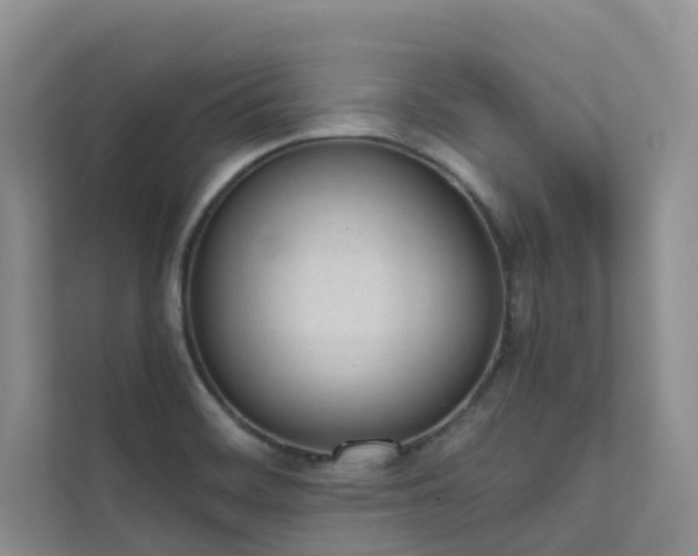 X0000111611468200907171214