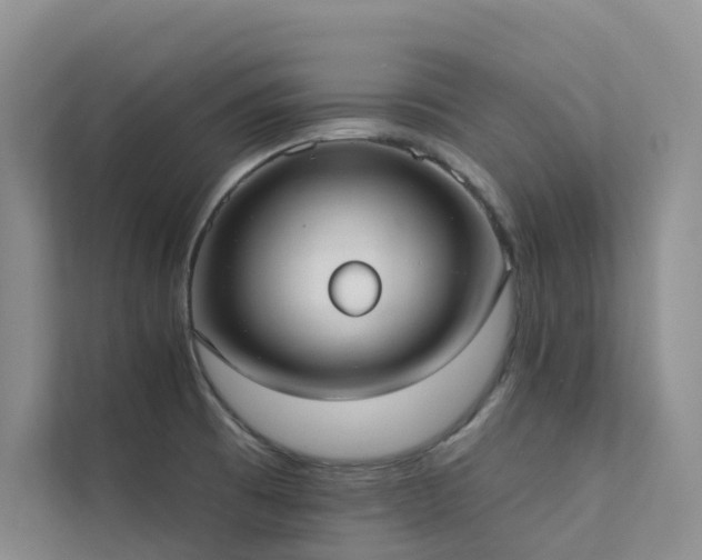 X0000111611473200907171214
