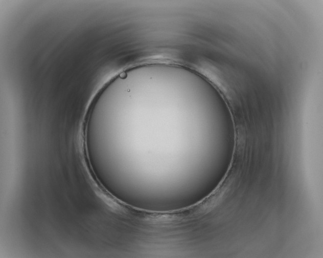 X0000111611474200907171214