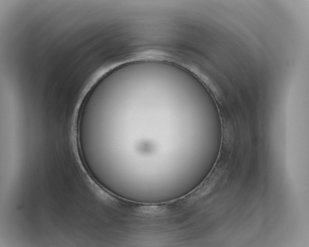 X0000111611478200907171214