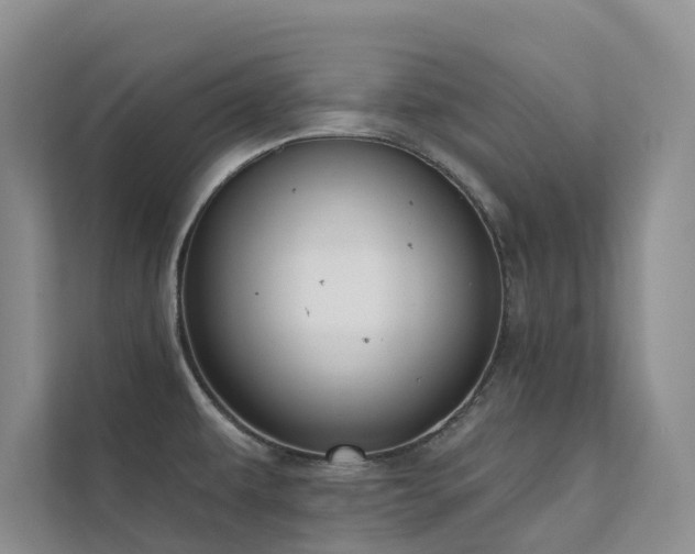 X0000111611479200907171214