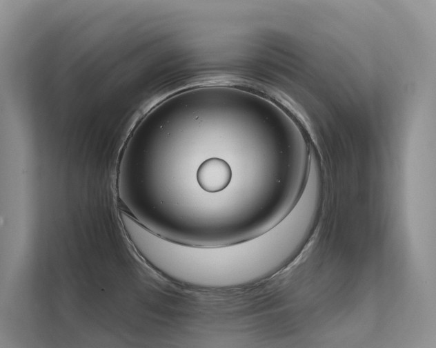 X0000111611481200907171214