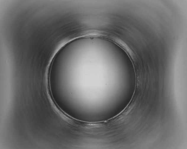 X0000111611483200907171214