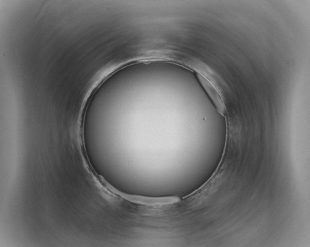 X0000111611485200907171214