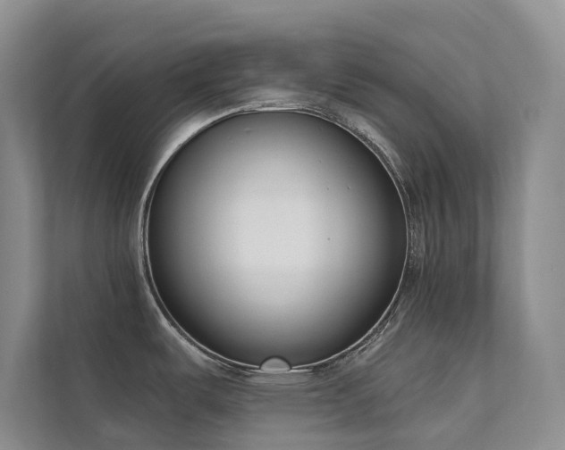 X0000111611487200907171214