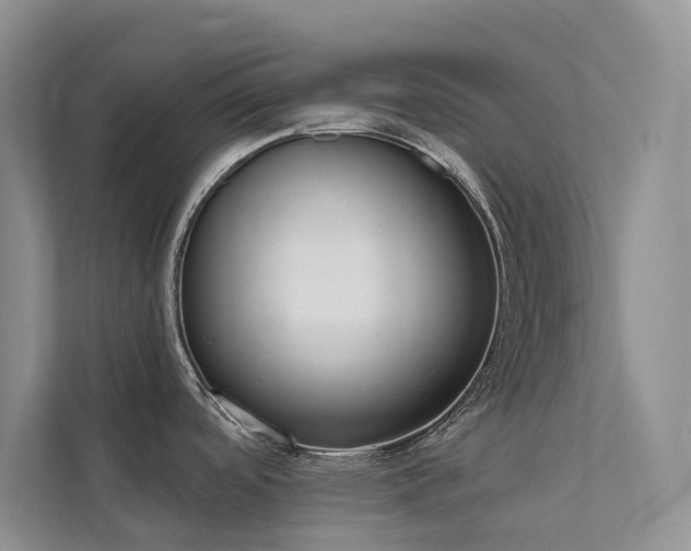X0000111611488200907171214