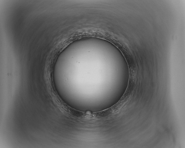 X0000111611489200907171213